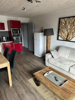 Au Myosotis, cosy au pied des pistes avec vue et cœur de station